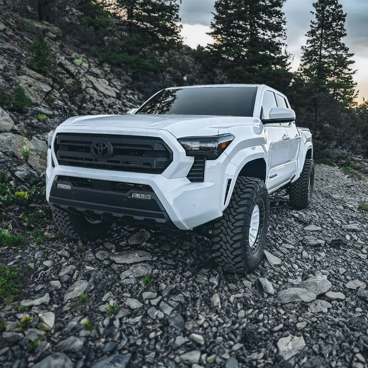 Toytec 1.5" Front Leveling Kit | 2024  Toyota Tacoma